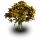 Small Tree Icon